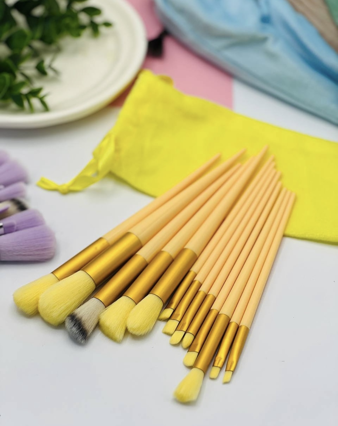 پک براش 13 تکه کیف دار