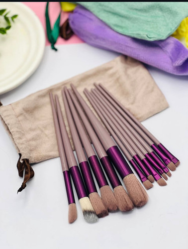 پک براش 13 تکه کیف دار