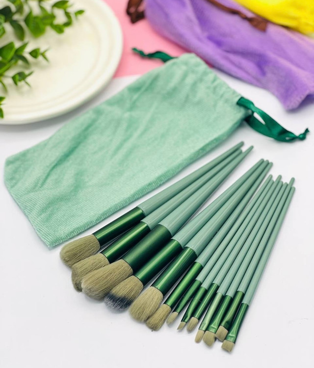 پک براش 13 تکه کیف دار